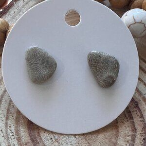 Michigan Petoskey Stone Stud Earrings